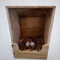 Single Flat Pack IQ nest box (timber)