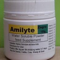 Amilyte 100g