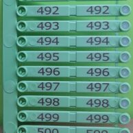 Wing Tag Roxan Easytag Light Green(Single tag only randam number)