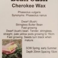 Bean- Cherokee Wax