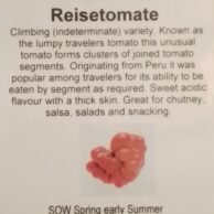 Tomato Reisetomate