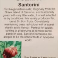 Tomato Santorini