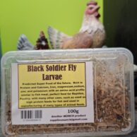 Black Soldier Fly Larvae 100g