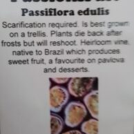 Passionfruit
