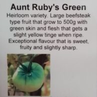 Tomato Aunt Ruby's Green